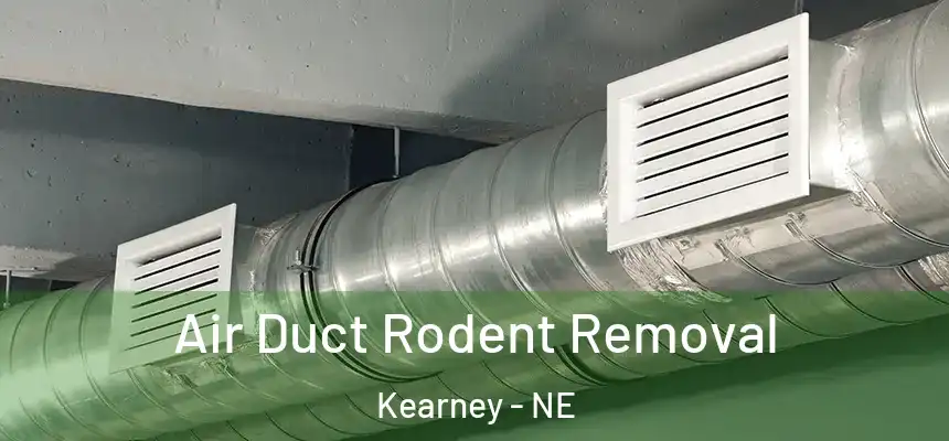  Air Duct Rodent Removal Kearney - NE