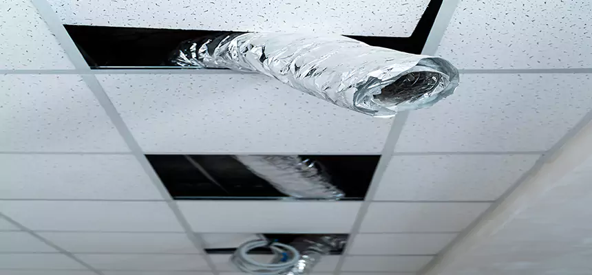 Our Air Duct Pet Hair Removal Services in Kearney, NE