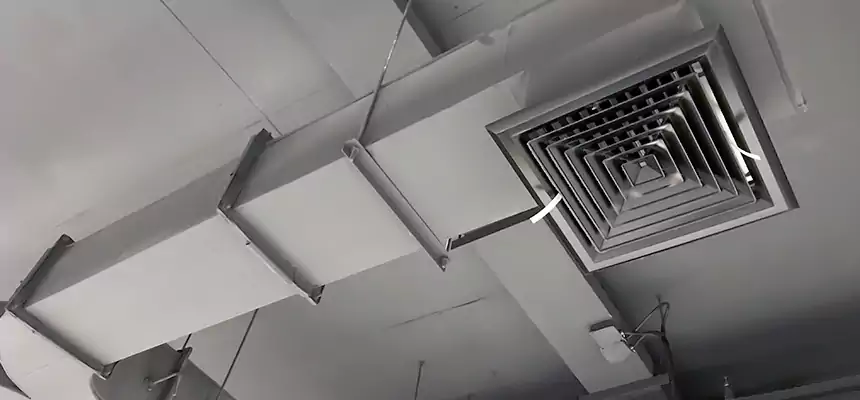 Restorative Allergy Relief Vent Cleaning – Coil, Blower & Housing Detail in Kearney