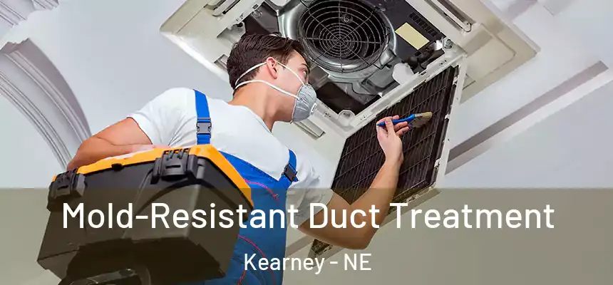  Mold-Resistant Duct Treatment Kearney - NE