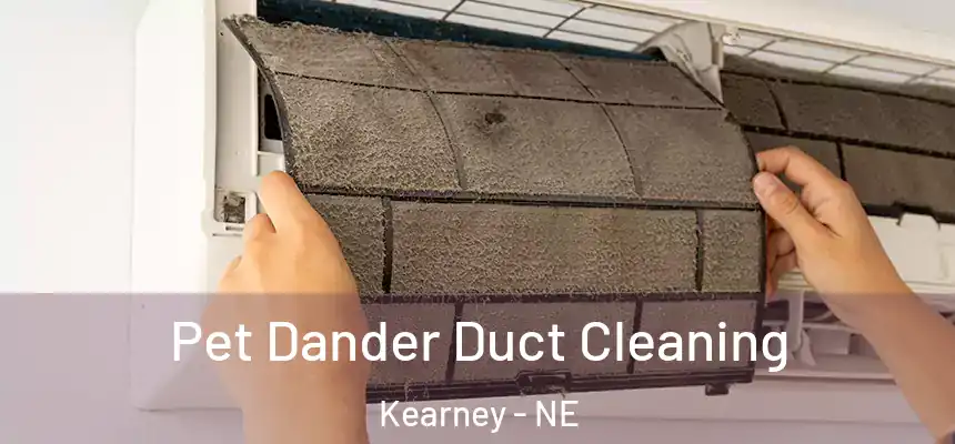  Pet Dander Duct Cleaning Kearney - NE