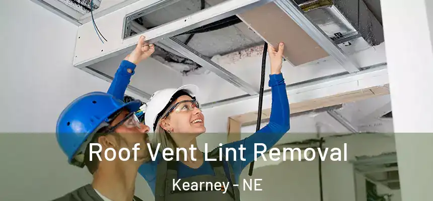  Roof Vent Lint Removal Kearney - NE