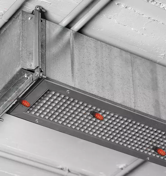 About Air Duct Cockroach Removal in Kearney, NE