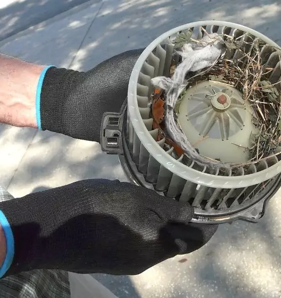 About Air Duct Mice Removal in Kearney, NE