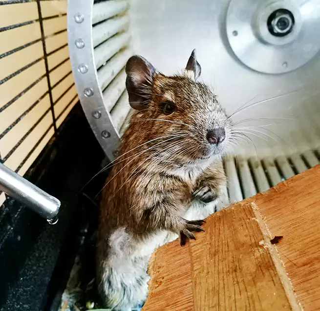 Why Homeowners & Businesses Trust Us Kearney, NE